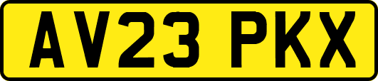 AV23PKX