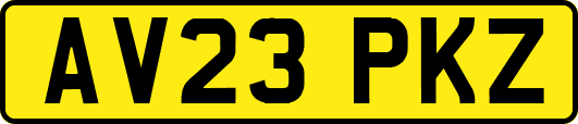AV23PKZ