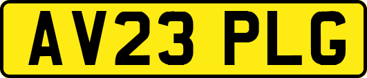 AV23PLG