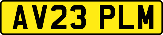 AV23PLM