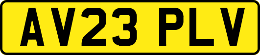 AV23PLV