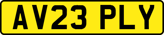 AV23PLY