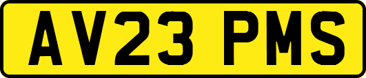 AV23PMS