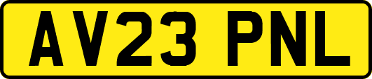 AV23PNL