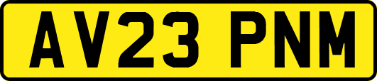 AV23PNM