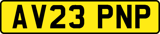AV23PNP