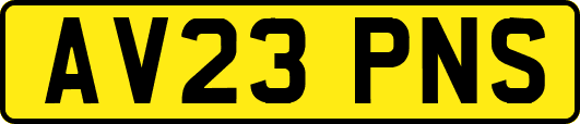 AV23PNS