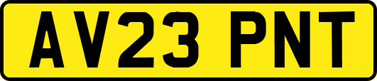 AV23PNT