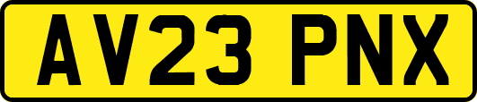 AV23PNX