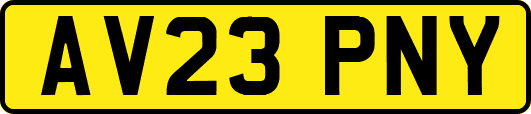 AV23PNY