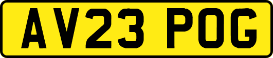 AV23POG