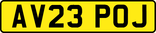 AV23POJ