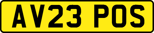 AV23POS