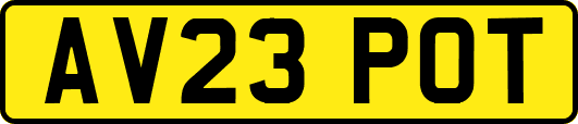AV23POT