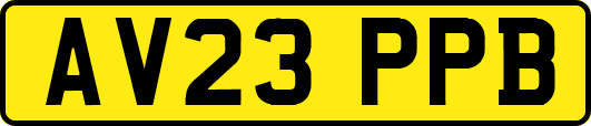 AV23PPB