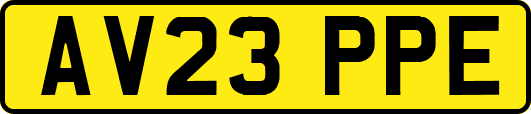 AV23PPE