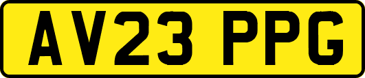 AV23PPG