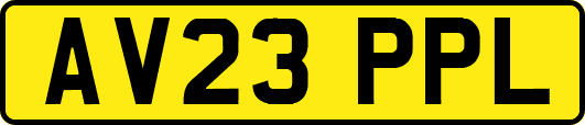AV23PPL