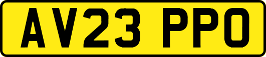 AV23PPO