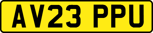 AV23PPU