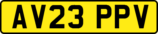 AV23PPV