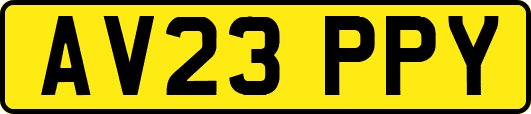 AV23PPY
