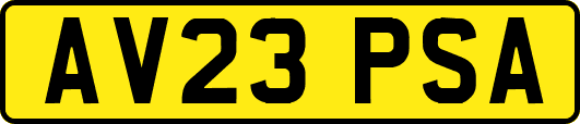 AV23PSA