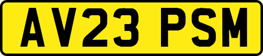 AV23PSM