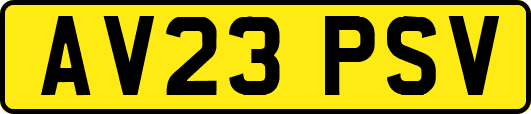 AV23PSV