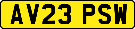 AV23PSW