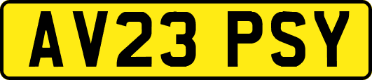 AV23PSY