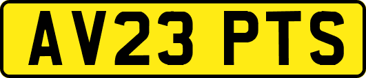 AV23PTS