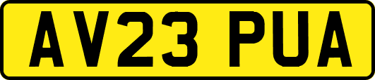 AV23PUA