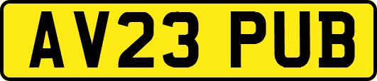 AV23PUB