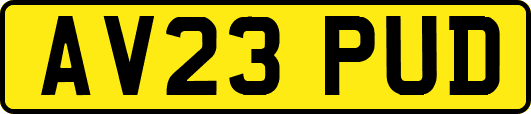 AV23PUD