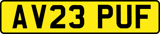 AV23PUF