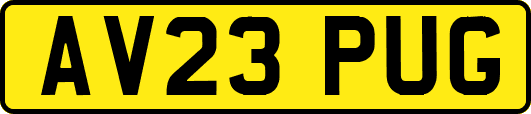 AV23PUG