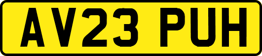 AV23PUH