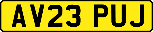 AV23PUJ