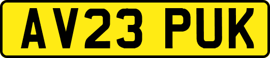 AV23PUK