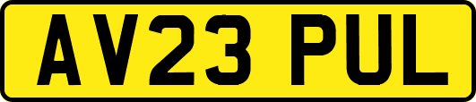 AV23PUL