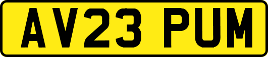 AV23PUM
