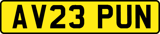 AV23PUN