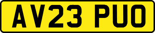 AV23PUO