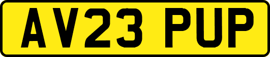 AV23PUP