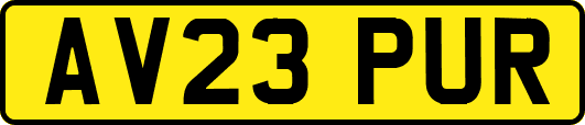 AV23PUR