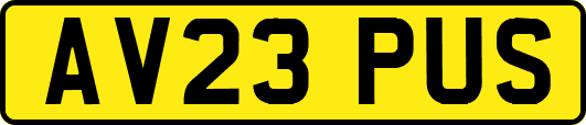 AV23PUS