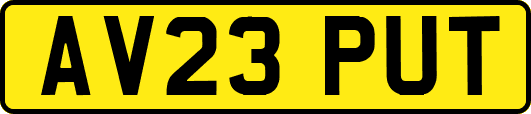 AV23PUT