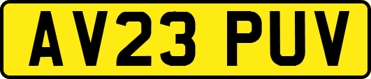 AV23PUV