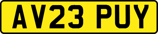 AV23PUY